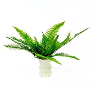 A&K 日本製プリザーブド観葉植物 山シダ HP-002