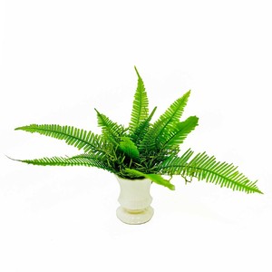 A&K 日本製プリザーブド観葉植物 山シダ・アスパラ HP-001