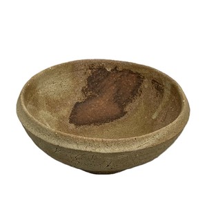 Shigaraki ware Side Dish Bowl Made in Japan