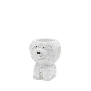 8/中旬入荷【カルナック】ランスポットビションフリーゼS