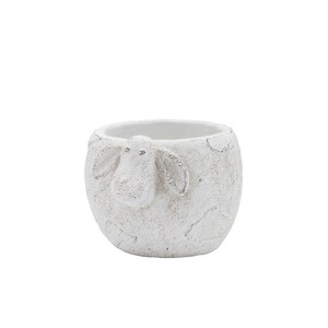 8/中旬入荷【カルナック】ランスポットカウ
