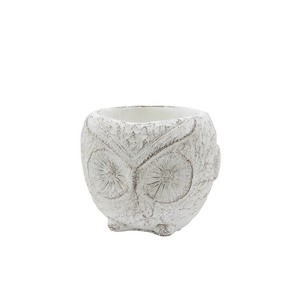8/中旬入荷【カルナック】ランスポットフクロウS