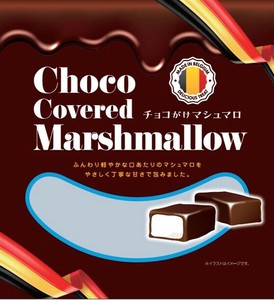 チョコがけマシュマロ