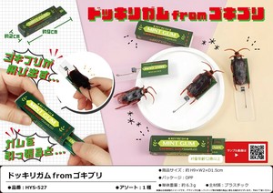 ドッキリガムfromゴキブリ