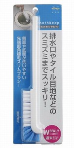 Brush