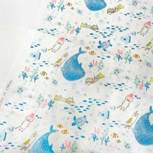 Cotton Double Gauze [New Item] 1-colors