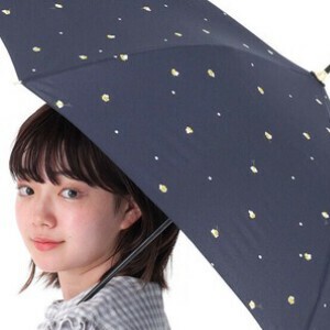 雨伞 2025年 秋冬新品