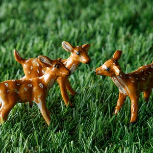 Chopsticks Rest Fawn Animals Animal