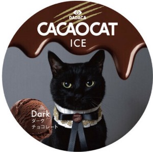 【8/14新発売】CACAOCAT ICE Dark【4ケース同梱必須　※2種フレーバーより選択可】