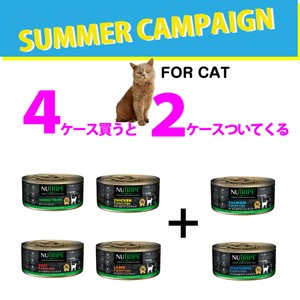 33%OFF!!(4+2) NUTRIPE PURE 猫セット サマーキャンペーン