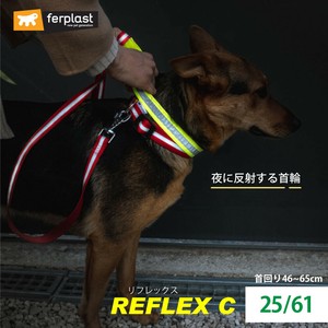 Dog Collar