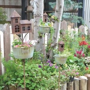 Pre-order Pot/Planter Flower