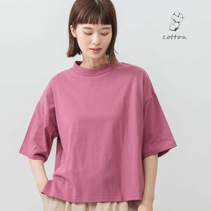 2025年新商品 T 恤/上衣 小立领 新颜色出品