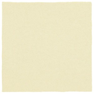 大島屋 洗える吸着マット 9枚セット アイボリー 30x30cm