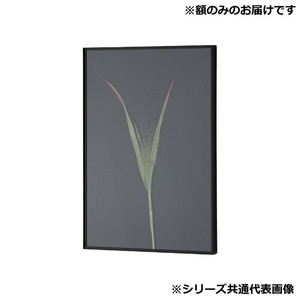 アルナ 額縁 シンプル ALUMIUM RIM マットブラック 300角 16744