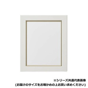アルナ　アクリル付 CF-ネオW(面金付) 半切(545x424) 10226