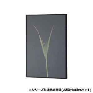 アルナ　UVアクリル RIM　マットブラック　小全紙 16737