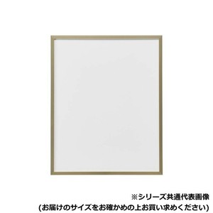 アルナ　アクリル付 T25-G 600角 2150