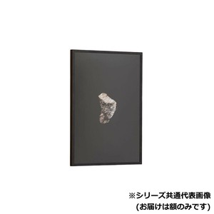 アルナ　アクリル付 FW-宗達　 B-2 13087