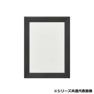 アルナ　アクリル付 CF-宗達 B-2 15347