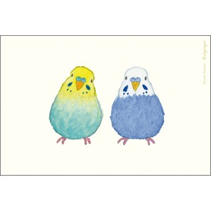 米津祐介　ポストカード／セキセイインコ