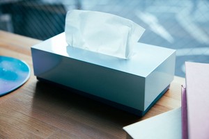 iroikoi ティッシュボックス　雪景色（ゆきげしき）　【山中漆器】