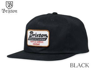 BRIXTON  TOWNSHIP NP HP SNPK -PS 22356