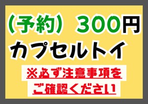 【予約】8/6〆　300ガチャガチャ（ガシャポン）商品各種