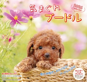 Calendar Poodle