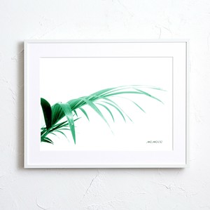 【おしゃれアートポスター】ボタニカル 観葉植物イラストナチュラル グリーン A4A3A2サイズ