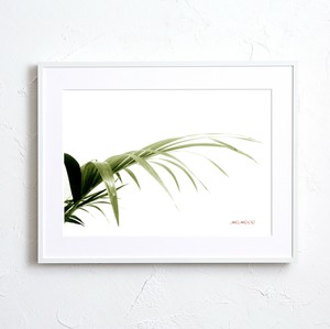 海报 植物 2种尺寸 绿色