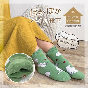 短袜 袜子 2025年 猫 立即发货 秋冬新品 绒布 女性