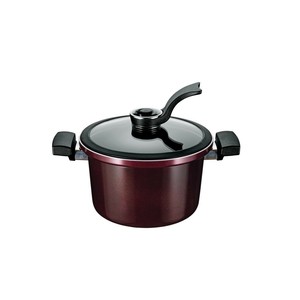 ビストニア IH対応真空煮込み鍋19cm MB-2915 1034433
