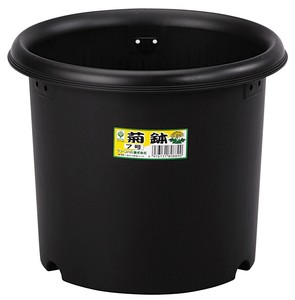 菊鉢　7号　ガーデニング