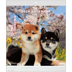 DOGウォールカレンダー　26ACL-01