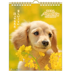 DOGマンスリー　26ACL-05