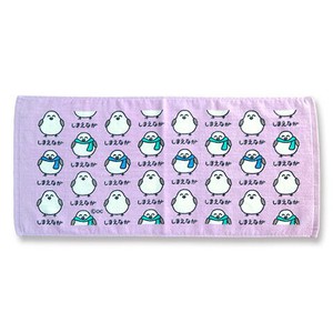 （取り寄せ品）TOWEL しまえながさん　おえかきさん フェイスタオル プリントロングタオル  オクタニ