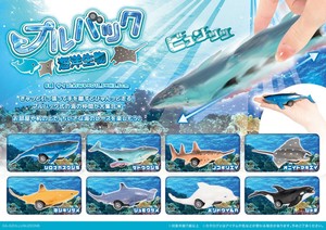 プルバック海洋生物