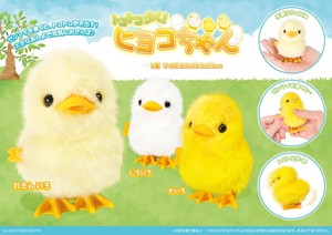 トコトコ歩く！ヒヨコちゃん