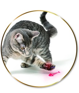 光る猫じゃらし にゃんポチ　ポインター
