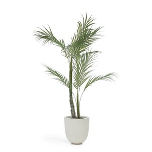 PALMERA palm treeアーティフィシャルプランツ（H60）