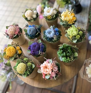 小想こころリザーブドアレンジリンギクピンポンマムお供え和風花材ギフト