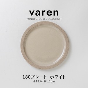Main Plate