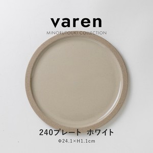 Main Plate