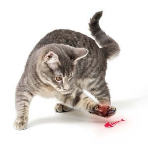 光の猫じゃらし ルミニコ	AXL-767