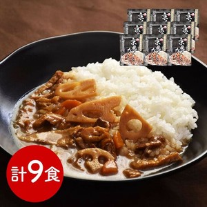 京都 祗園きたざと監修 京風だしカレー 9食