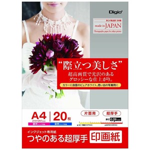 ナカバヤシ　IJ印画紙SK2　超厚手　A4　20枚　JPSK2-A4-20