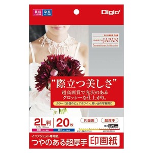 ナカバヤシ　IJ印画紙SK2　超厚手　2L　20枚　JPSK2-2L-20