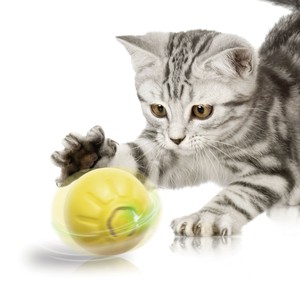 充電式猫ちゃんボール	AXL-769