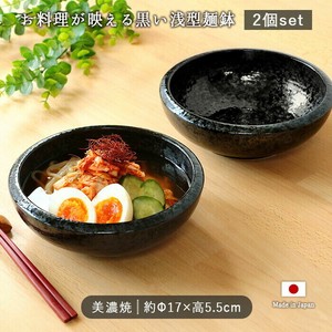 美濃焼 具材たっぷり 浅型 麺鉢 2個セット [ 日本製 径17cm 730ml 磁器 電子レンジ対応 食洗機対応 ]